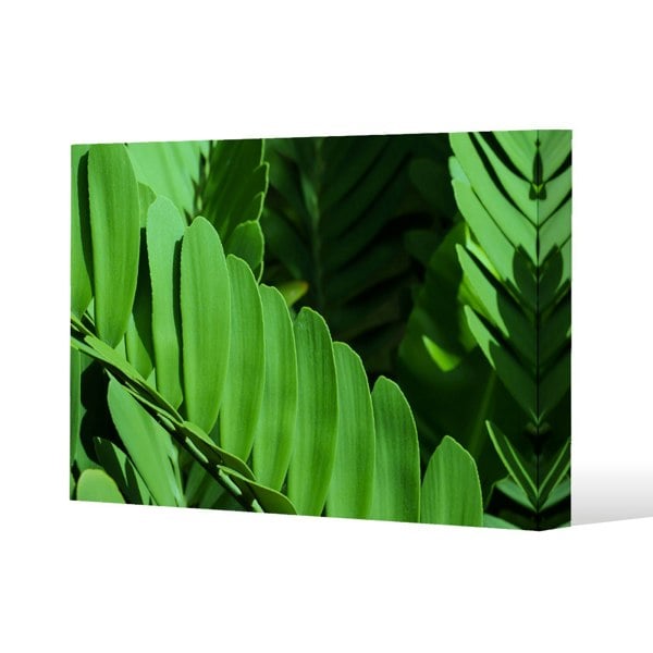 Benjamin Tate Design Natural dark green leaves, long slender green leaves (Canvas Print)