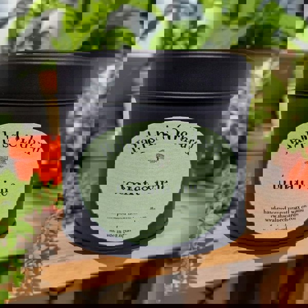 Candle in a black tin labeled 'Ralph's Orchard tomato vine' with plants in the background.