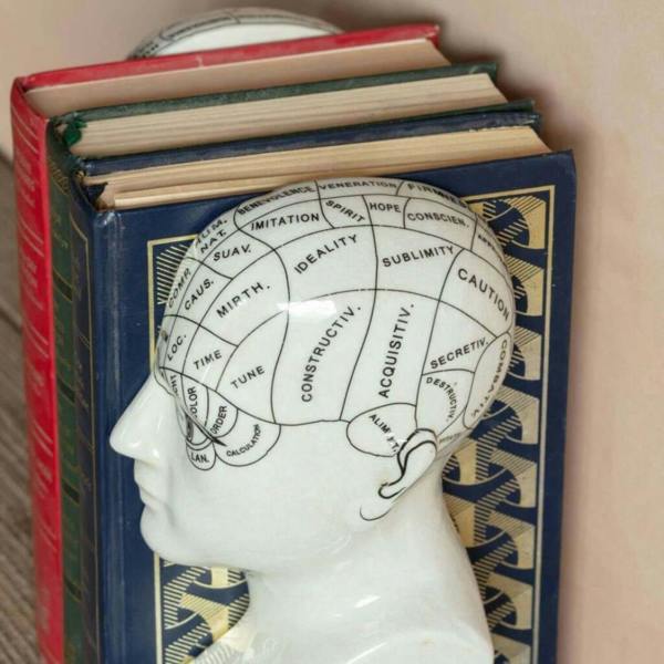 Antiqued Phrenology Head Bookends - lifestyle shot
