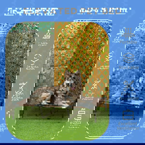 D04-069CF