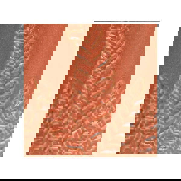 #color_rust