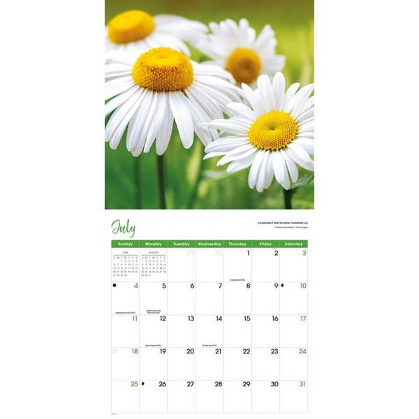 Flowers Calendar 2027, Wall Calendars, Month To View, Lifestyle, Gift
