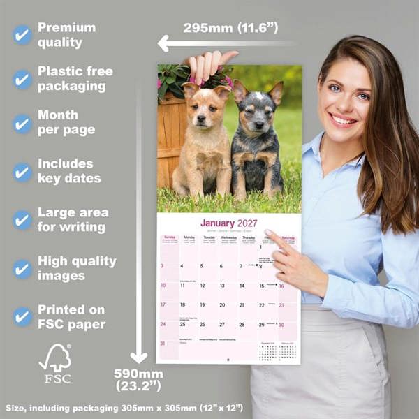 Australian Cattle Dog Calendar 2027, Wall Calendars, Month To View, Dogs, Gift