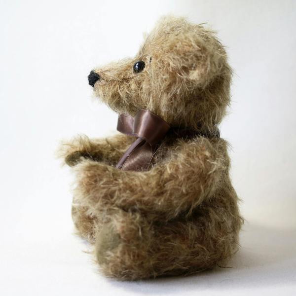 Canterbury Bears Walter
