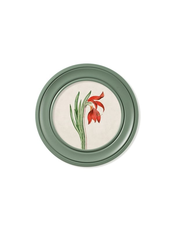 Exceptional Art c.1780 Flowering Plants Round Frame Green