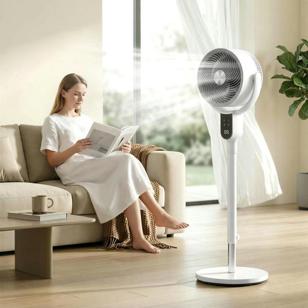 Air Circulator Fan
