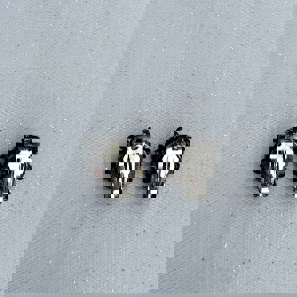 Black clip-on earrings, faceted black beads, clustered design, vintage inspired style, lightweight and comfortable, elegant statement jewellery
