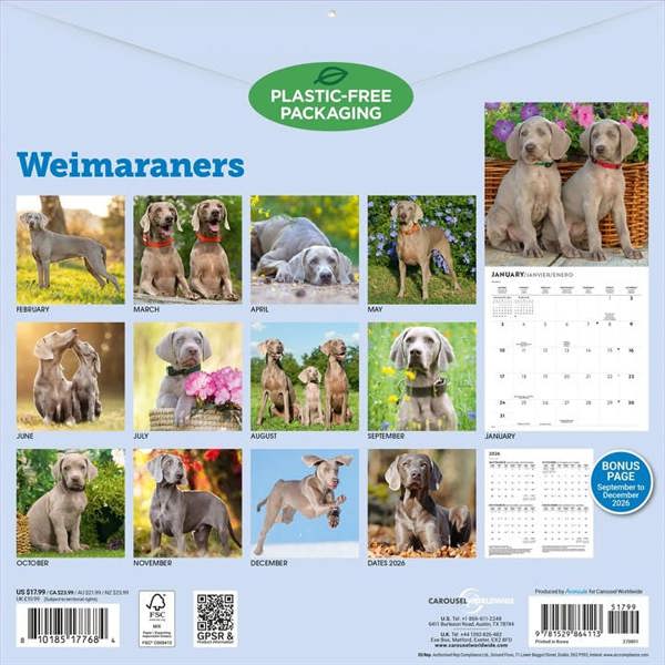 Weimaraners Calendar 2027, Wall Calendars, Month To View, Dogs, Gift
