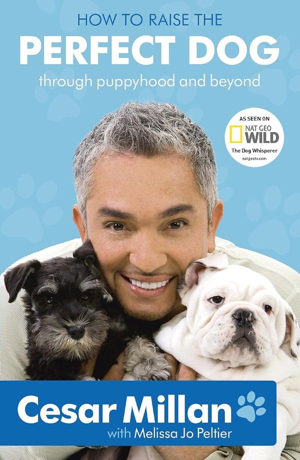 How to Raise the Perfect Dog by Cesar Millan