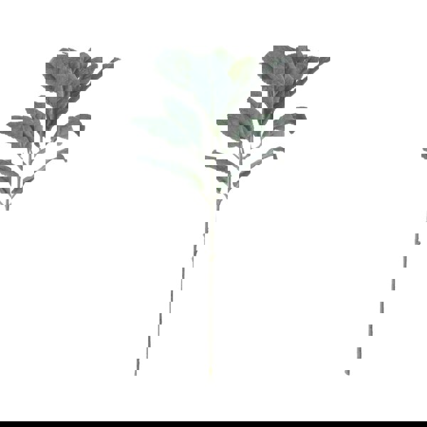 Hill Interiors Artificial Lambs Ear Single Stem - Green