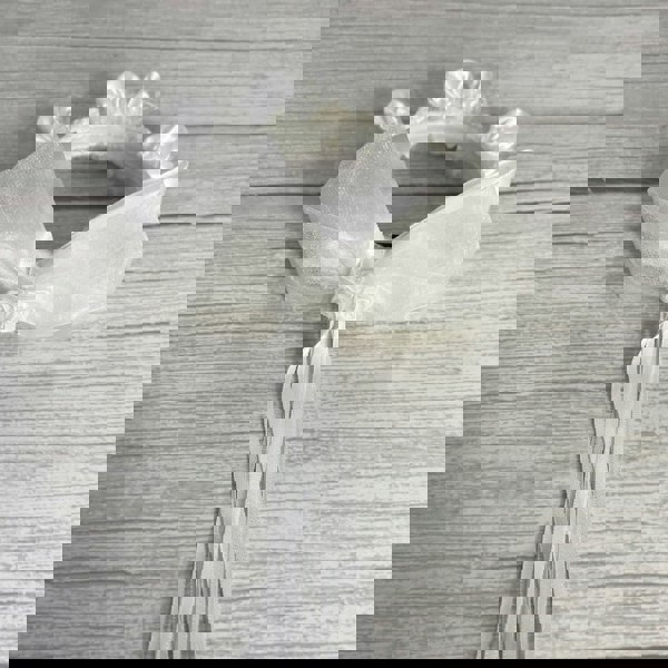 rear of white bun ring