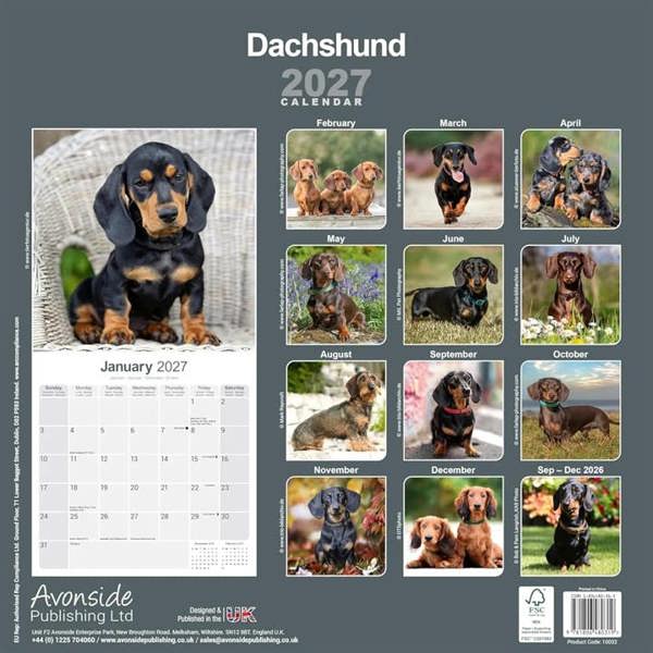 Dachshund Calendar 2027, Wall Calendars, Month To View, Dogs, Gift