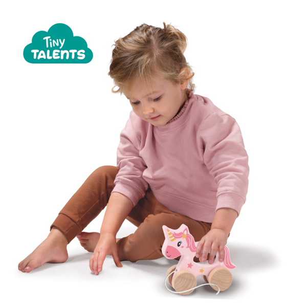 SES Creative Push and pull 2 in 1 wooden unicorn