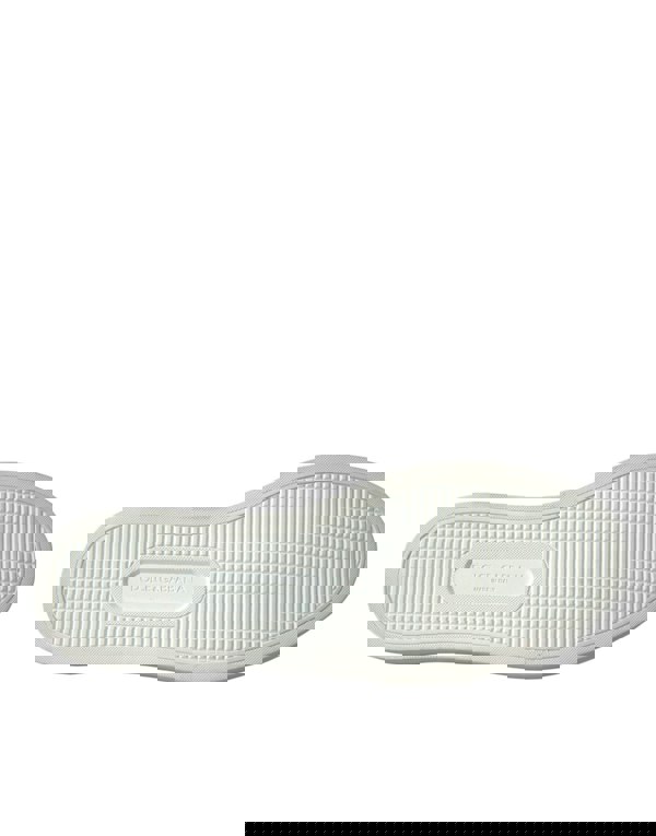167421684.jpg