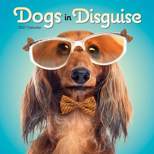 Dogs in Disguise Calendar 2027, Wall Calendars, Month To View, Humour, Gift