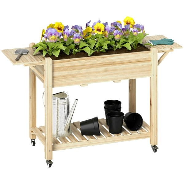 Raised Planter