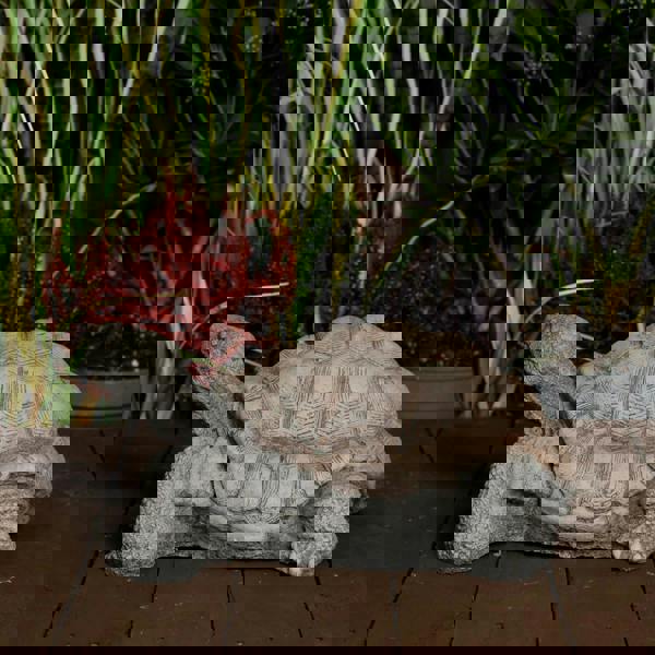 Medium Stone Cast Tortoise Garden Ornament 