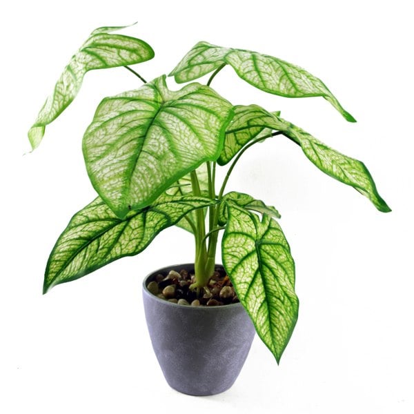 Leaf 40cm Artificial Taro in Decorative Planter