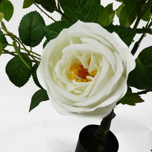 Leaf 70cm White Camellia Rose Plant Artificial