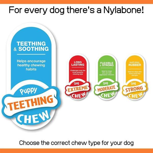 Nylabone Gentle Puppy Teething Chew Toy Bone, Chicken Flavour, Medium