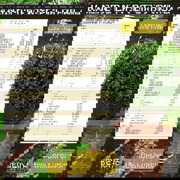 Bronte Heritage Buxus Feed – Controlled-release granules for box hedges & topiary in pots, containers, or ground. 120g for lush, green growth