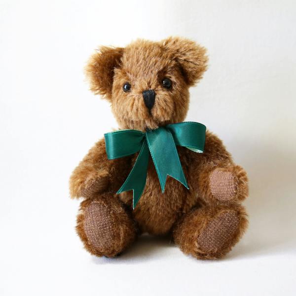 Canterbury Bears Chestnut Peter