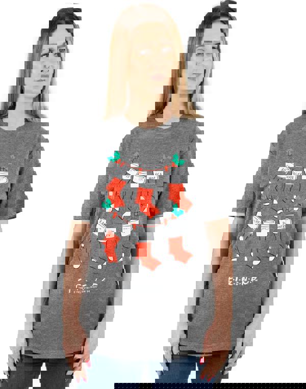 Friends Womens Grey Short Sleeved T-Shirt