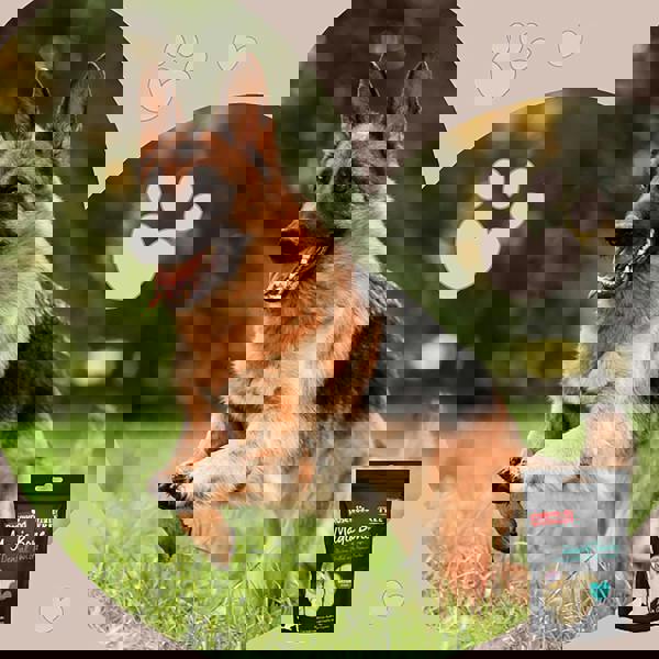 Rosewood Magic Bone Dental Twists Medium Dog Treat With Chicken, Peanut Butter Flavour 120g (4 Treats)