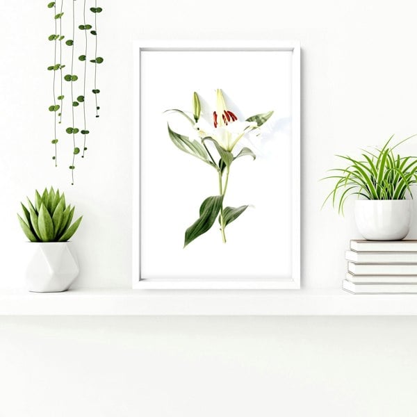 Art for the bathroom wall | set of 2 Floral wall art prints