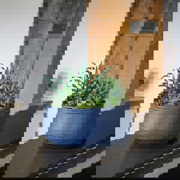#color_azurite