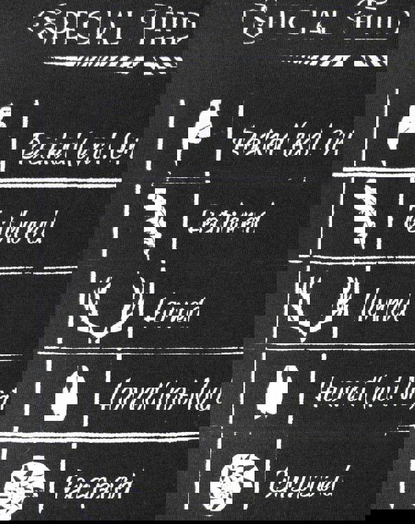 Fantastic Beasts And Where To Find Them Mens Black Special Feed Codes Short Sleeved T-Shirt