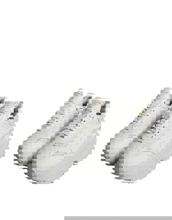 181733971.jpg
