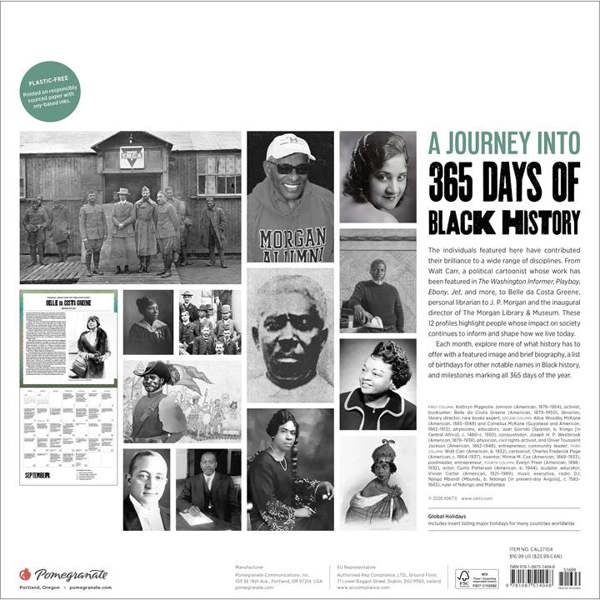 A Journey Into 365 Days Of Black History Calendar 2027, Wall Calendars, Month To View, History & Literature, Gift