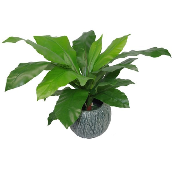 Leaf 60cm Bushy Large Artificial Bird's Nest Fern Plant