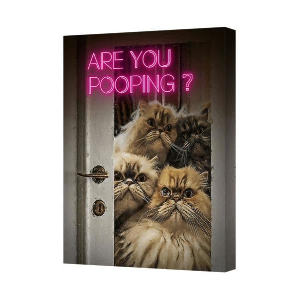 Benjamin Tate Design Cat Canvas Art Are You Pooping Neon Pink Print With Deep Wood Frame