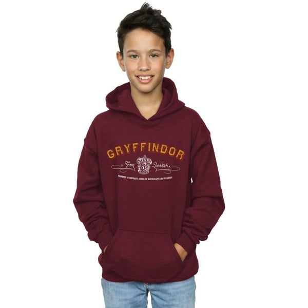 Harry Potter Boys Gryffindor Team Quidditch Hoodie - Burgundy