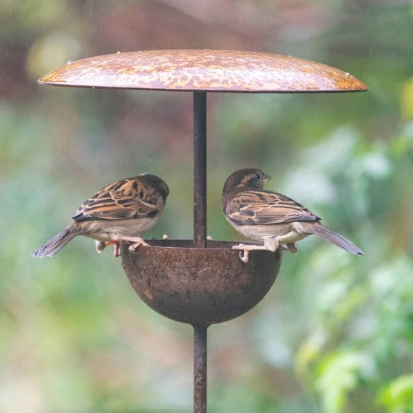 rusty metal bird feeder