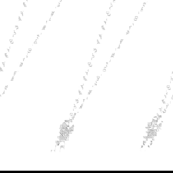 Mylee London Bichon Frise Silver Necklace - Personalised