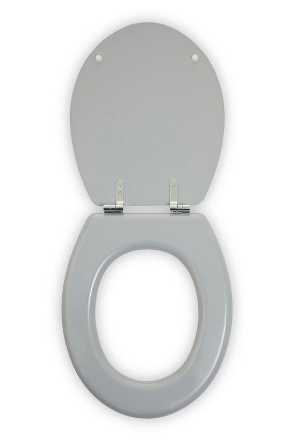 Maison by Premier Brooks Matte Toilet Seat
