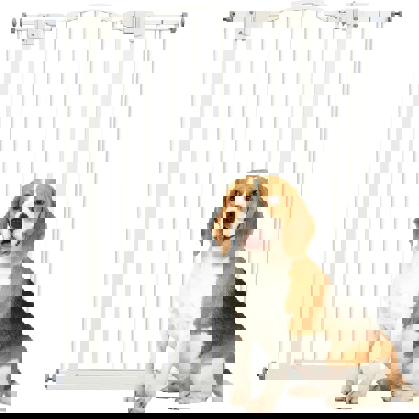 D06-094V01WT