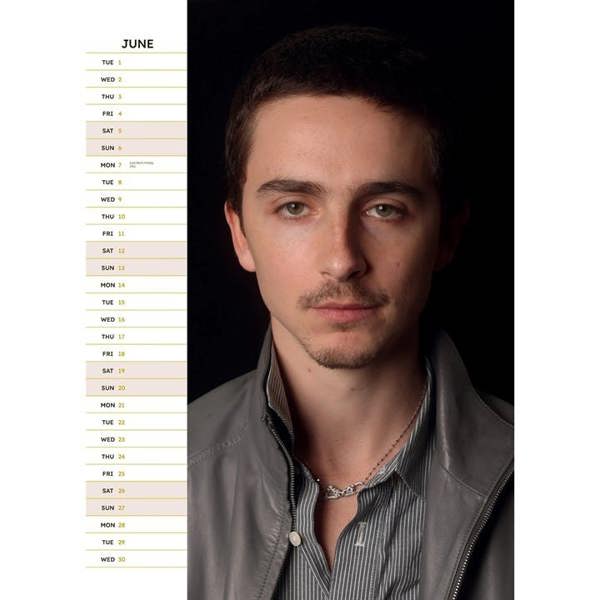 Timothee Chalamet A3 Calendar 2027, Wall Calendars, Month To View, Entertainment, Gift