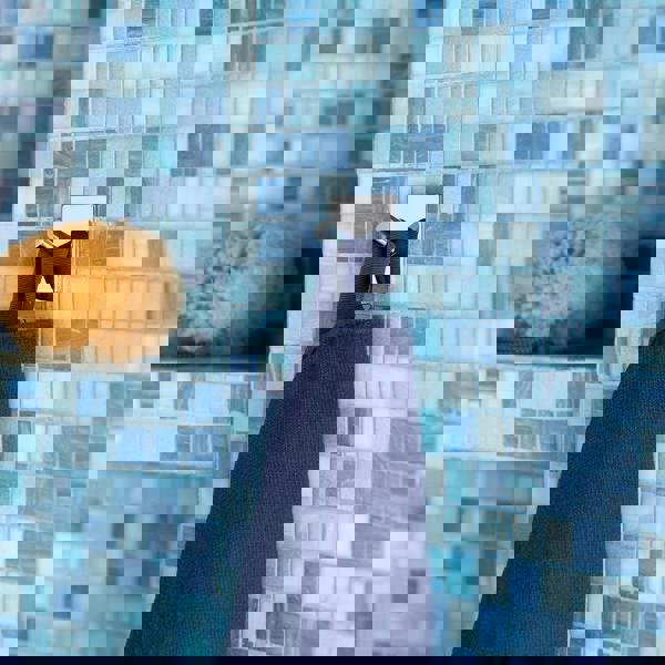 BESLAGSBODEN Chrome Stainless Steel Single Towel Hook (45 x 45mm) Self Adhesive Bathroom Wall Mounted