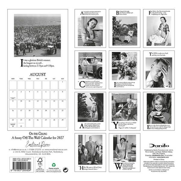 On-The-Ceiling Calendar 2027, Wall Calendars, Month To View, Humour, Gift