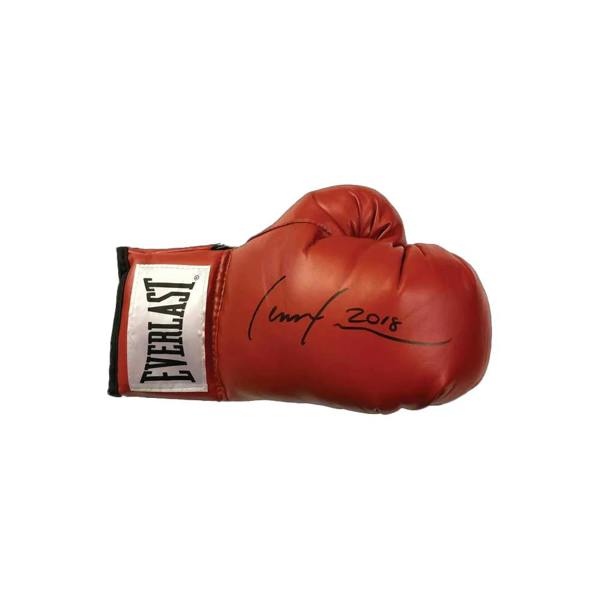 Unbranded Lennox Lewis signed boxing glove — Unframed