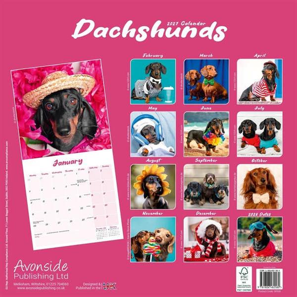 Dachshund Calendar 2027, Wall Calendars, Month To View, Dogs, Gift