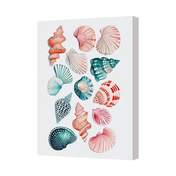 Benjamin Tate Design Seashells Canvas Wall Art Print Coastal Ocean Shells Decor 8098