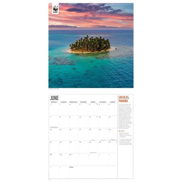 WWF, Fragile Earth Calendar 2027, Wall Calendars, Month To View, Natural World, Gift