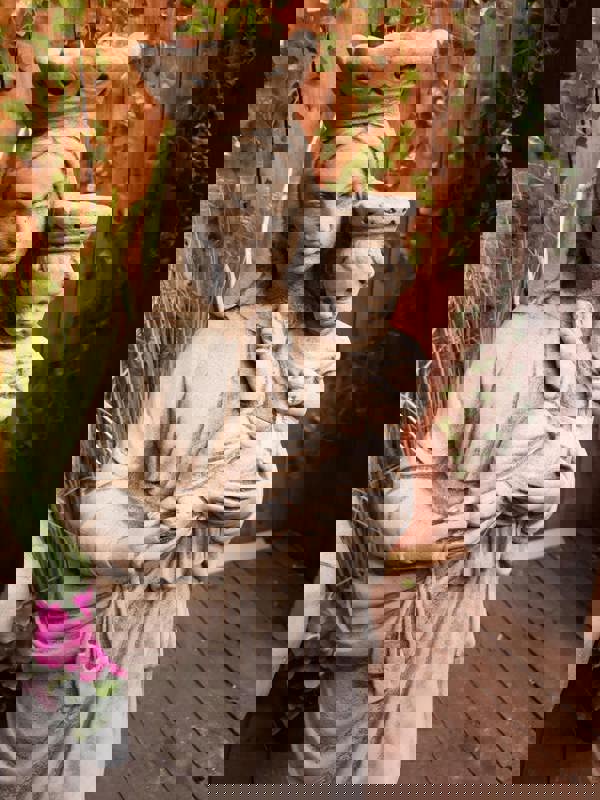 Stone Cast statues of Mary with Child and St Francis