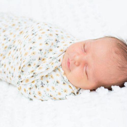 Lulujo - Cotton Swaddle - Vintage Floral & Dragonfly - 2 Pack