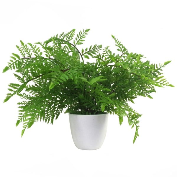 Leaf 30cm Artificial Potted Southern Wood Fern